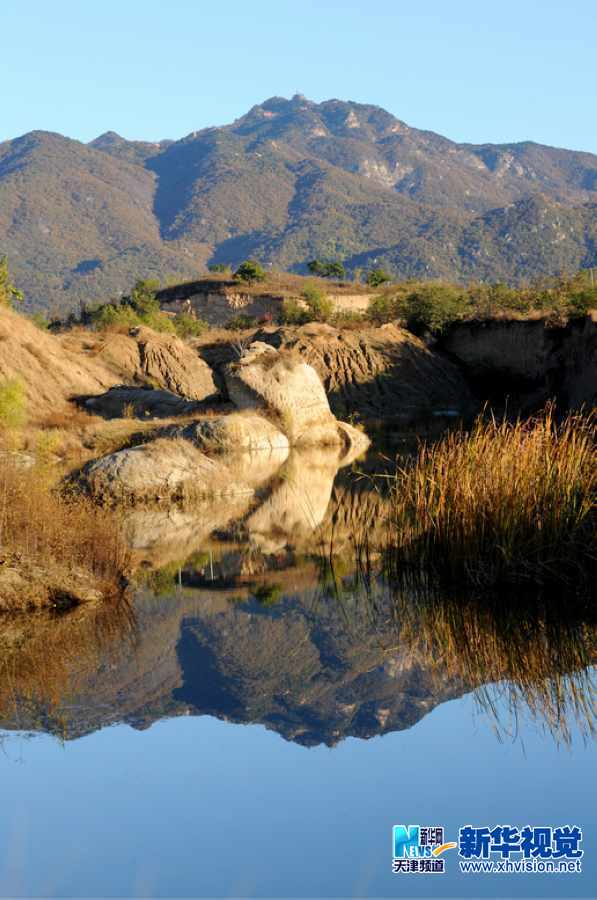 吴军江生态摄影作品十