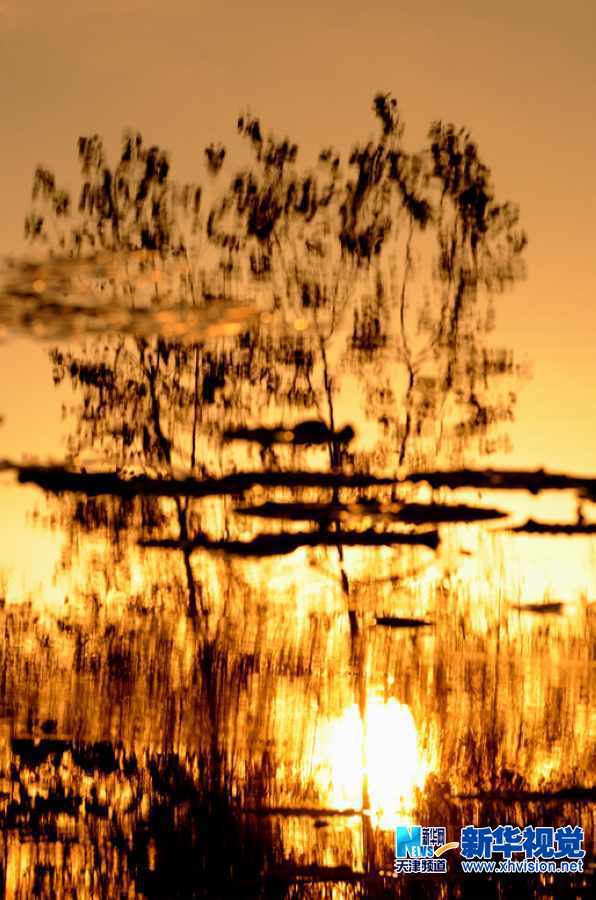 吴军江生态摄影作品九