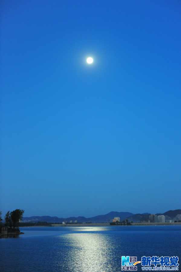 吴军江生态摄影作品十一