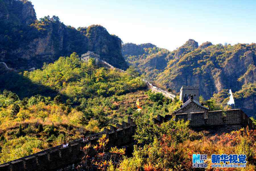 吴军江生态摄影作品十二