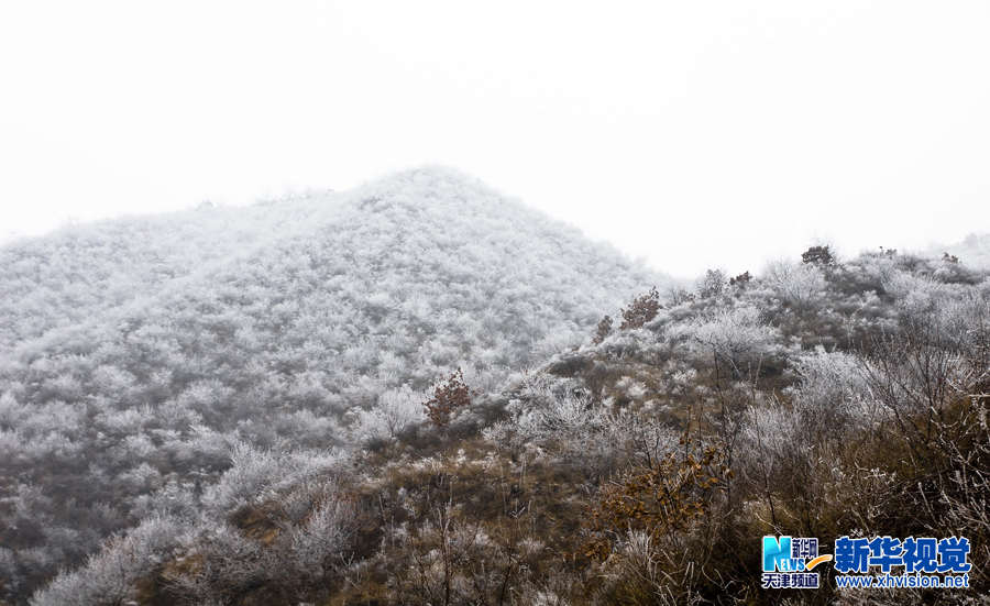 蓟县登山赏“凇”花