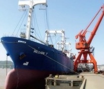 国际海运与船舶经营