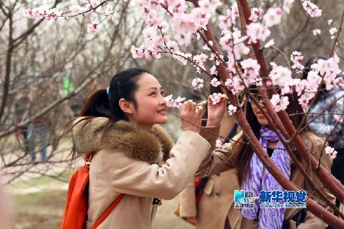 桃花节上赏桃花