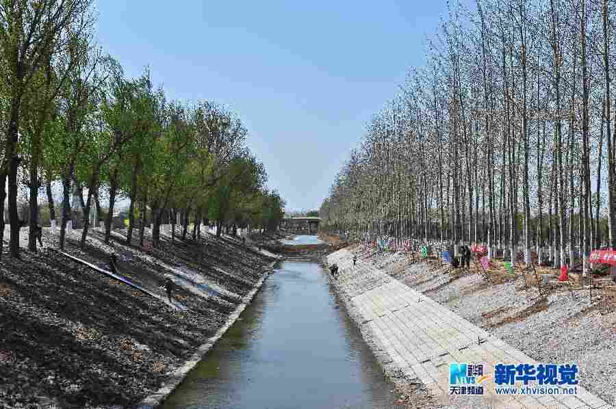 天津：水渠排淤引清流
