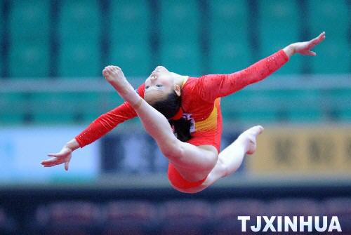 2008国际体联世界杯体操赛中国天津站比赛