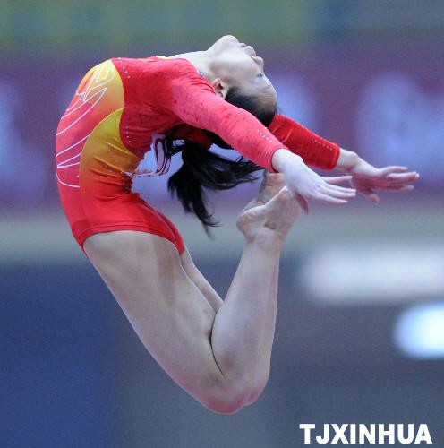 2008国际体联世界杯体操赛中国天津站比赛